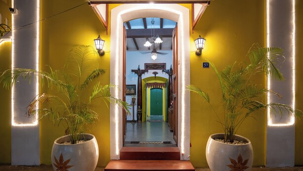 A hotel entrance with a yellow wall, two large potted plants, a green door, and a staircase leading to the interior. - Luigi Villa (Puducherry)