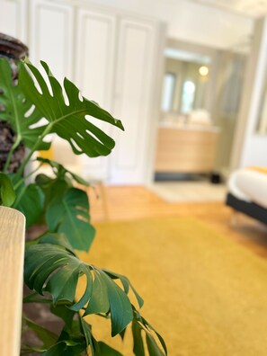 Interior - "l'élégant Paradoux ", Plein Centre. 5 Chambres, 3 Salles de Bain & 2 Toilettes (Toulouse)