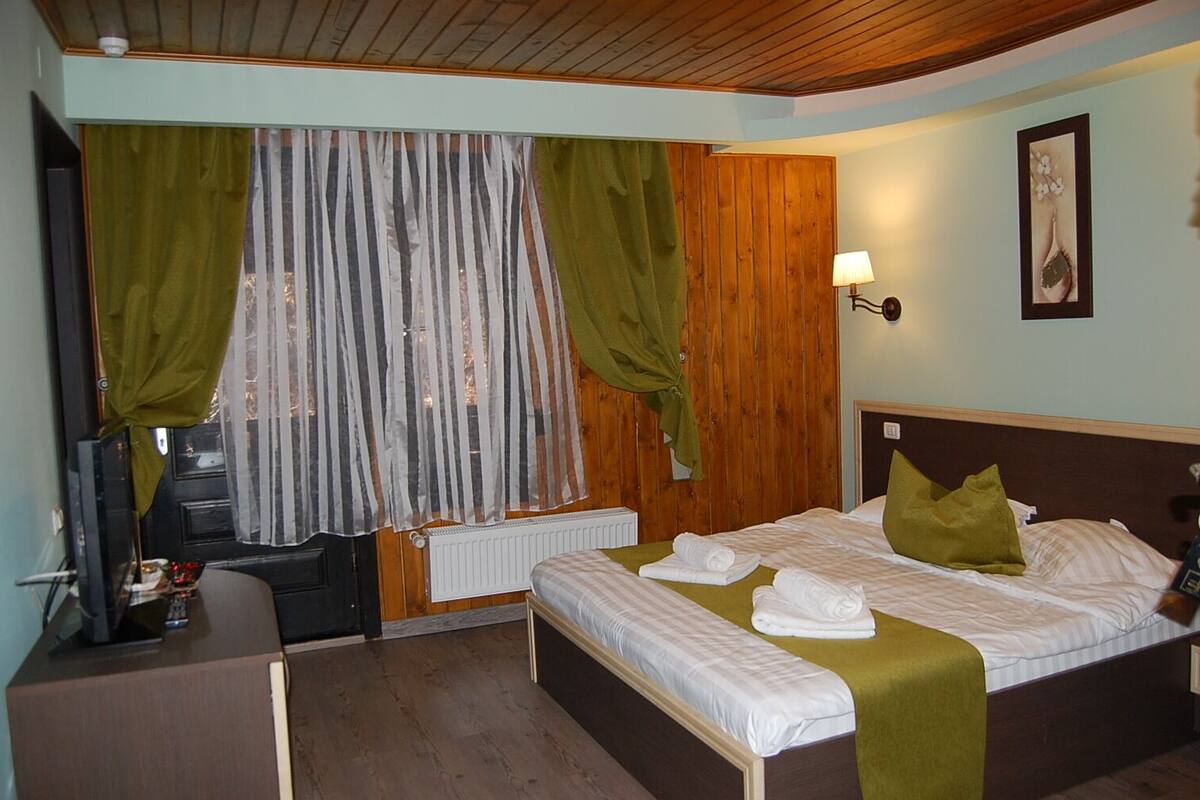 Une chambre à coucher avec un lit, un bureau, une télévision et un radiateur.