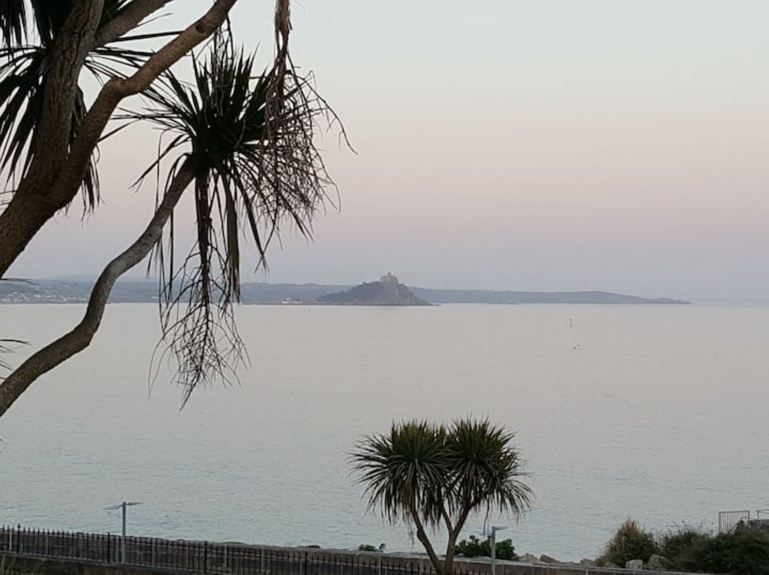 Une vue sur la côte, avec un ciel dégagé, une île lointaine et un palmier au premier plan.