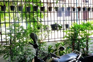 Property grounds - Home a way from home, where the social environment meets, fresh air, good food,. (Pochentong)