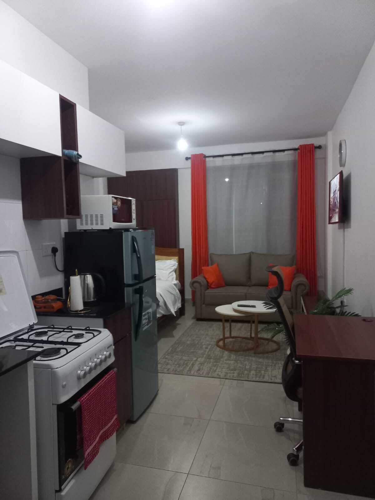 A compact living space with a kitchenette, a sofa, a small table, and a TV.