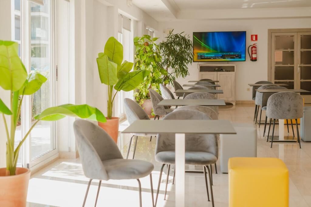 Photo - Hotel LLITERAS