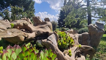 Jardín