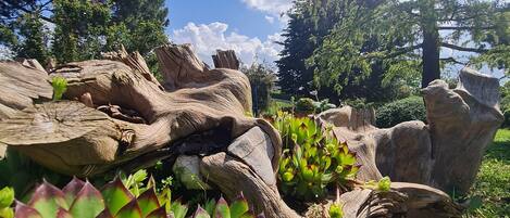 Jardín