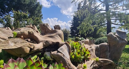 AgriBio Villa Ribes