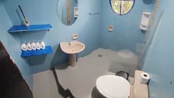 Secador de cabelo, toalhas de banho, sabonete, shampoo