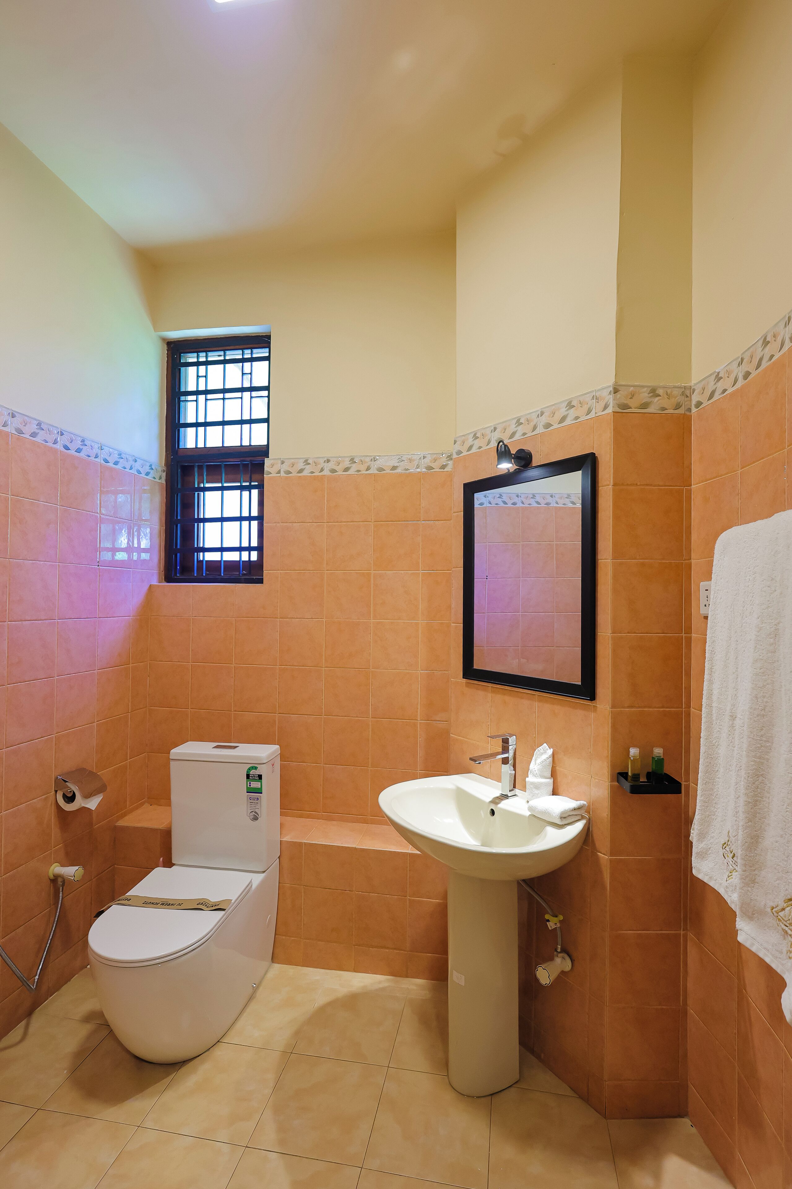 A bathroom with a toilet, sink, and a window.