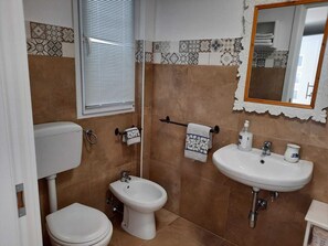 Regadera, secadora de cabello, bidet, toallas 