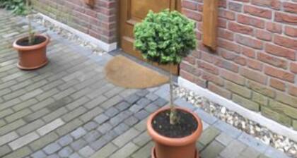Ferienwohnung Landleben, 1-7 Pers.