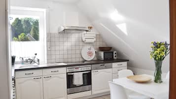 Kühlschrank, Mikrowelle, Herdplatte, Geschirrspüler