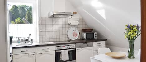 Fridge, microwave, stovetop, dishwasher