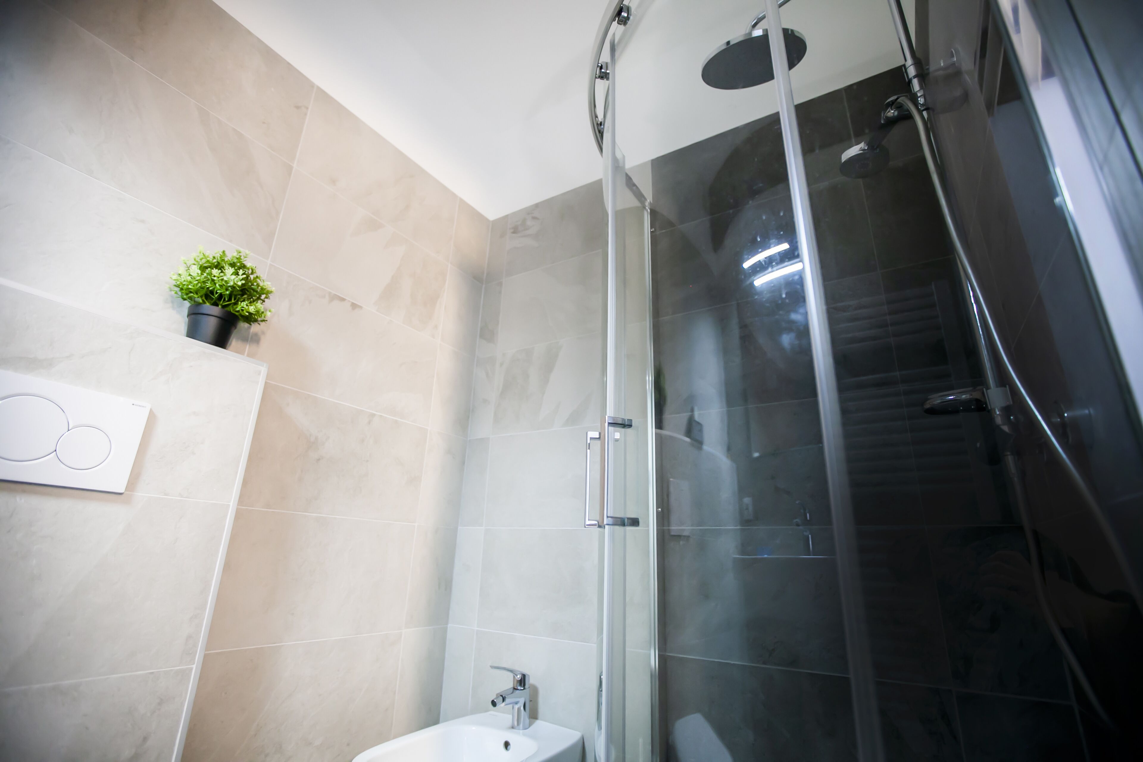 A modern bathroom with a glass shower enclosure, a white sink, and a small potted plant on the wall.