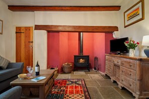 TV, fireplace, DVD player, books