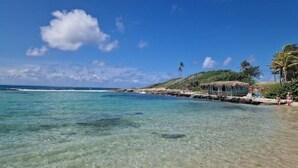 Ein Strand mit klarem türkisblauem Wasser, einem strohgedeckten Gebäude und Palmen.