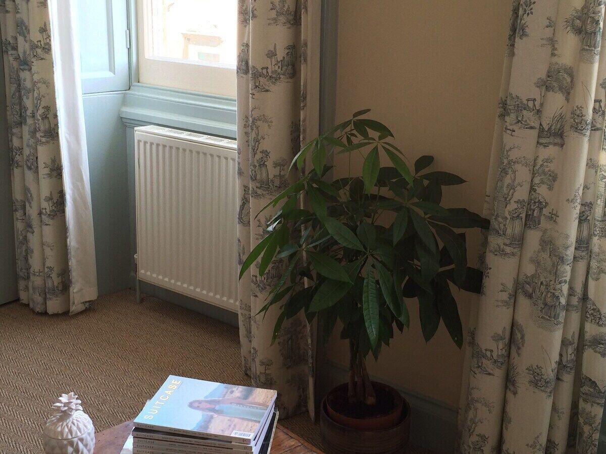 A room with a radiator, a potted plant, and a stack of books on a table.