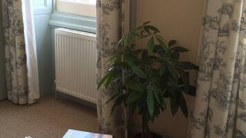 A room with a radiator, a potted plant, and a stack of books on a table.