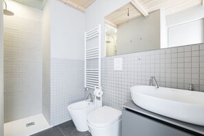 Shower, hair dryer, bidet, towels
