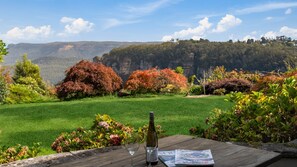 Property grounds - Blue Vista in Leura Escarpment views (Leura)