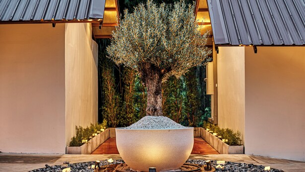 A large, illuminated planter with a tree, surrounded by a circular arrangement of stones and candles, set in a pathway with a wooden floor and a building in the background. - Baan Rai Santisuk (Lom Sak)