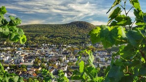 A town with a prominent church and a hill in the background.