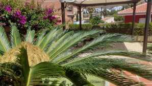 Un espacio al aire libre cubierto con palmeras y flores moradas, un patio con baldosas y un edificio con tejado rojo al fondo.