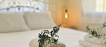 Cozy centrally apartment fully equipment