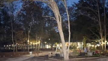 A paved pathway surrounded by trees and street lamps.