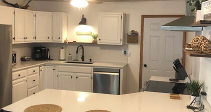 Beautiful all new Blue Heron only a few feet from Oneida Lake