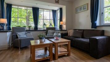 Fernseher, Arbeitsbereiche