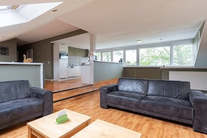 TV, offices
