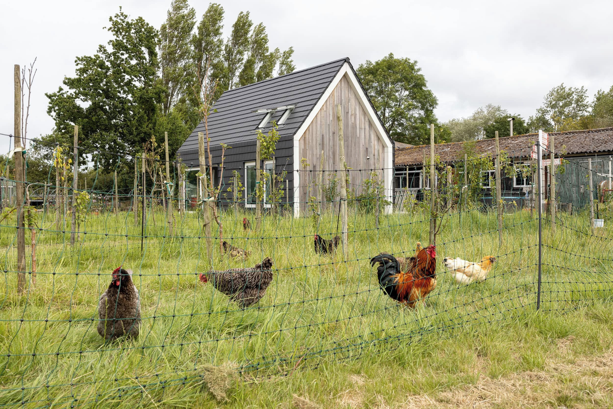 A rural barn with a sloped roof, surrounded by a wire fence and tall grass.