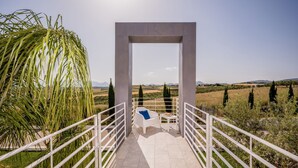 A pathway leading to a covered area with a view of a rural landscape.