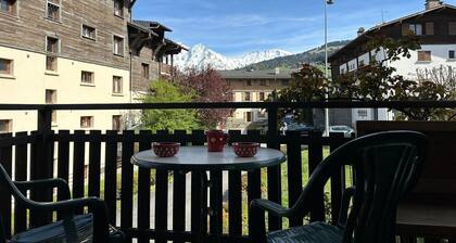 Charmant T3 au centre de Combloux, parking et animaux admis