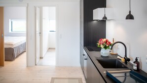 Oven, stovetop, dishwasher, electric kettle