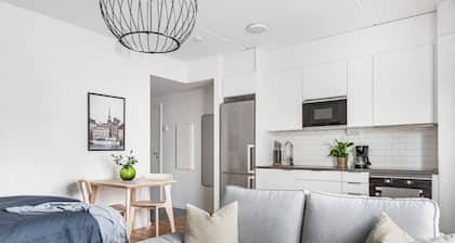 Modern Stylish Apartment With Balcony In Stockholm