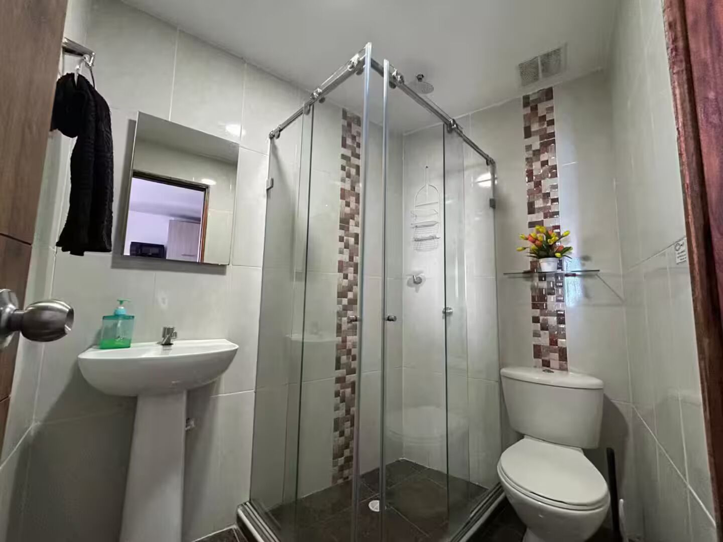 Une salle de bain avec une douche à parois de verre, un lavabo blanc et des toilettes.