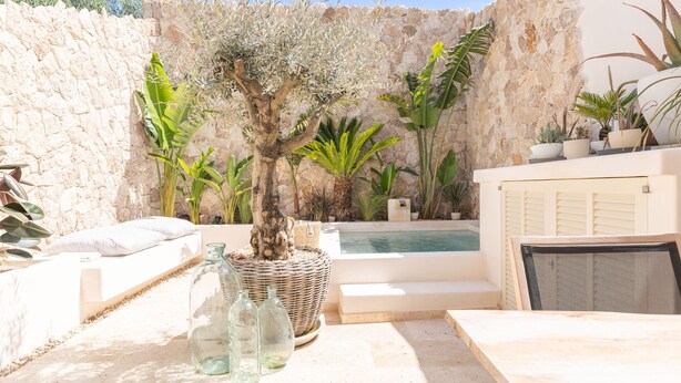 A sunlit outdoor area with a stone wall, a pool, and various potted plants. - Petra holiday home by Rentallorca (Petra)