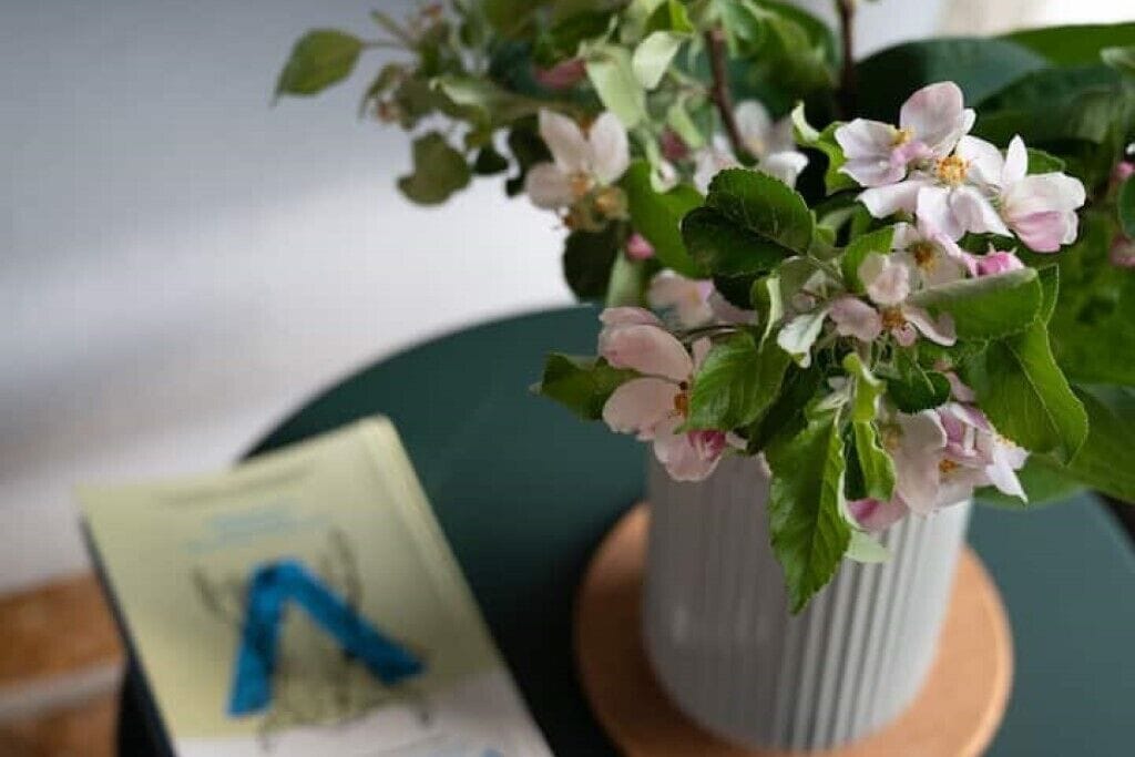 Una planta en maceta con flores rosadas sobre una mesa.