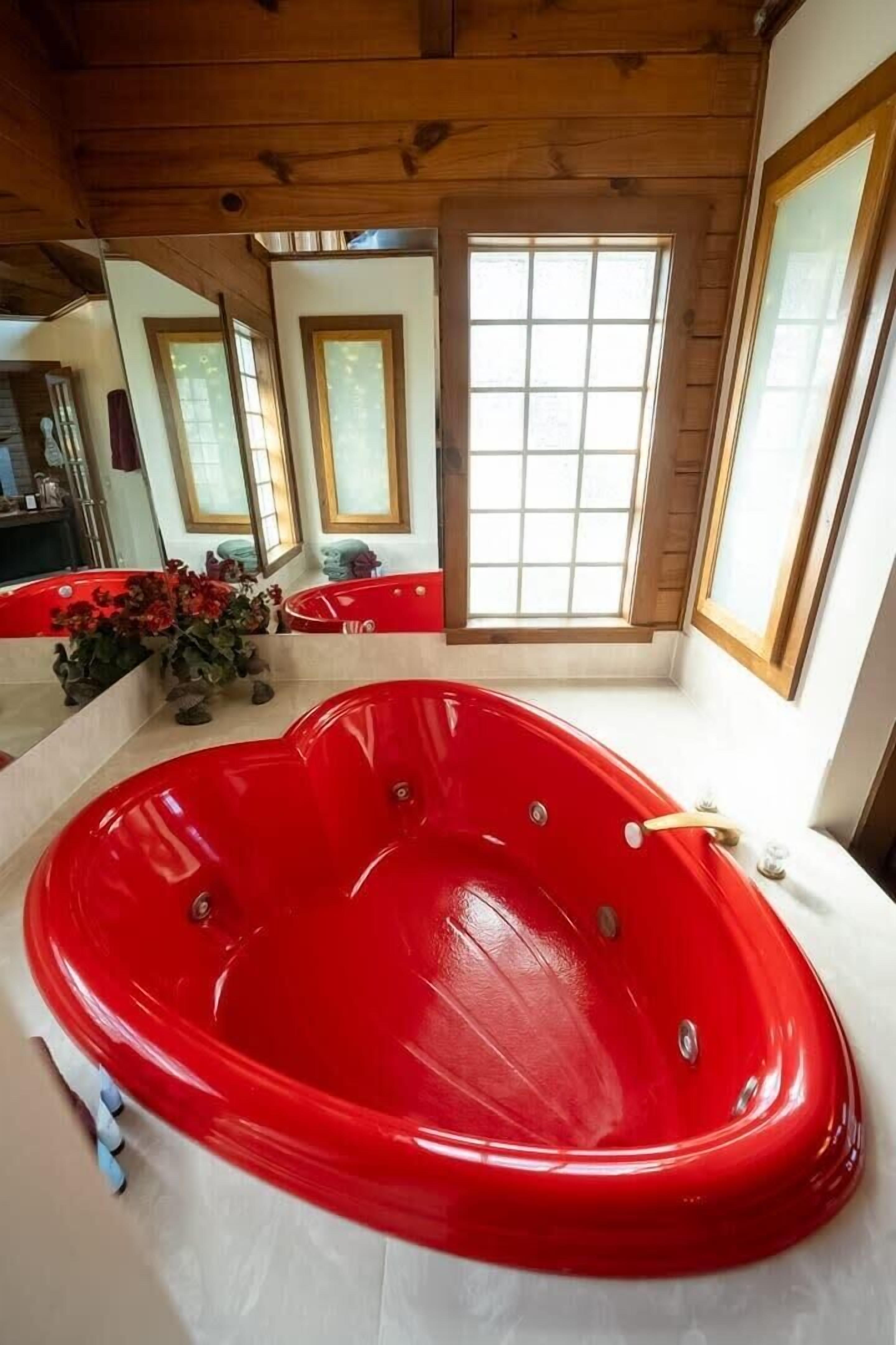 Chuveiro, secador de cabelo, toalhas de banho 