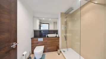 Combined shower/bathtub, deep-soaking bathtub, hair dryer, towels