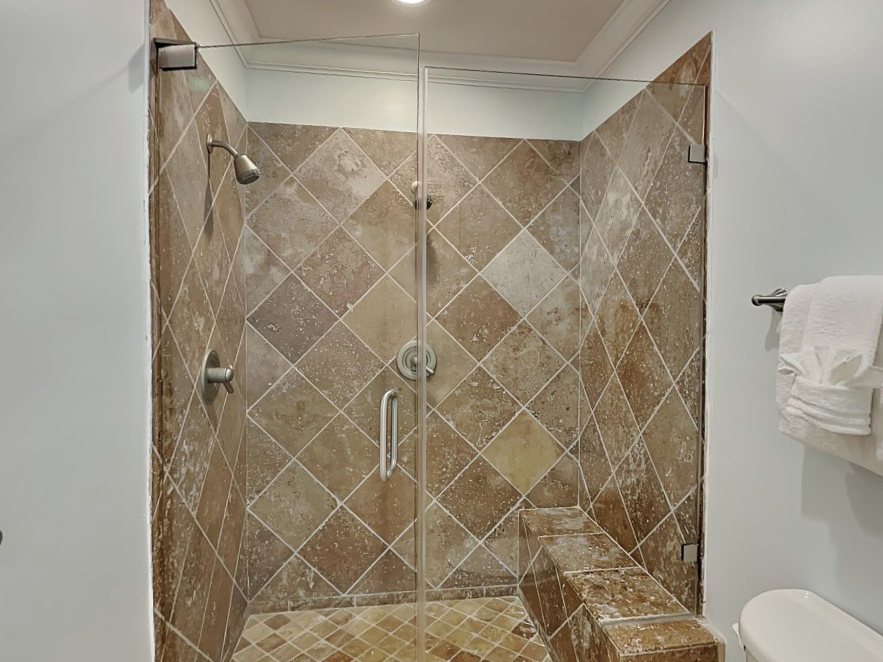 A shower area with a glass door, a toilet, and a towel rack.