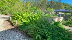 Un jardin agrémenté de diverses plantes, une terrasse en bois et une clôture en métal.