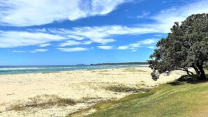 Ein Strand mit blauem Himmel, Wellen und einem Baum rechts.