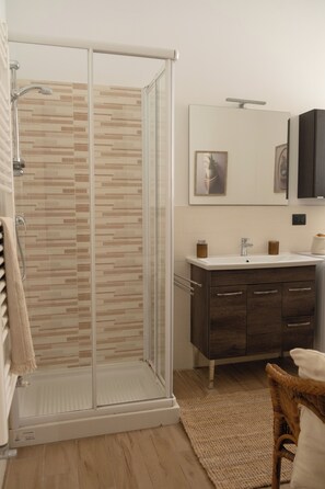 Shower, hair dryer, bidet, towels