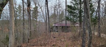 Collier Cabin in Pine Hollow ~ Eminence, MO

