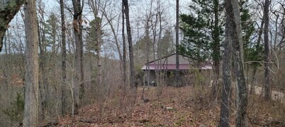 Collier Cabin in Pine Hollow ~ Eminence, MO

