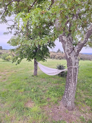 Escape to a serene natural haven, where a hammock beckons amidst a lush green field.