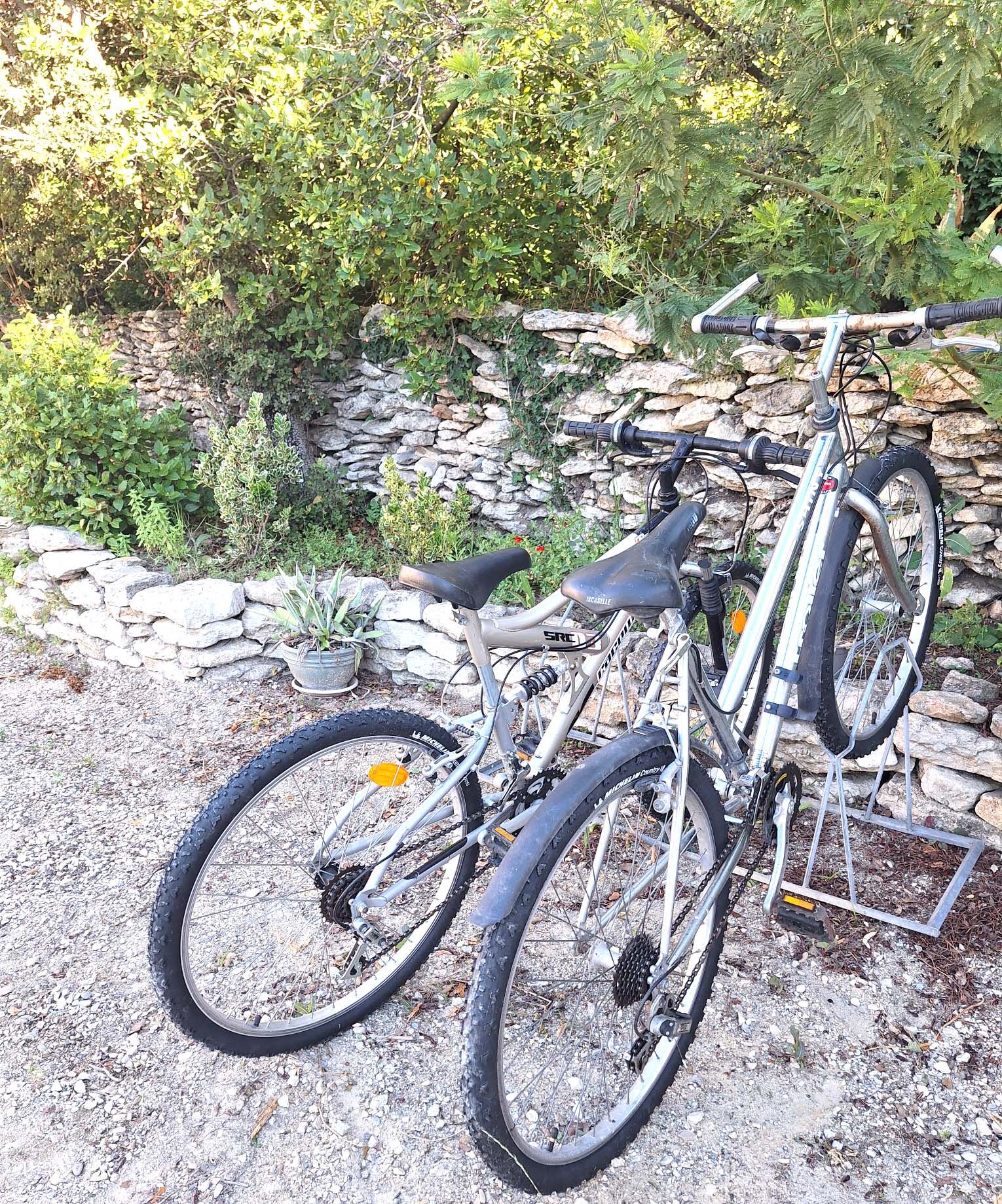 Una bicicleta de muntanya aparcada al costat d'una paret de pedra en un jardí amb vegetació de fons.