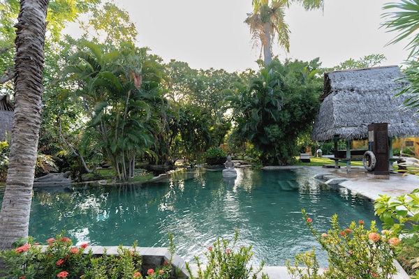 Outdoor pool, pool loungers